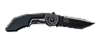 Sw Mp1bd Image of Sw Mp1bd
