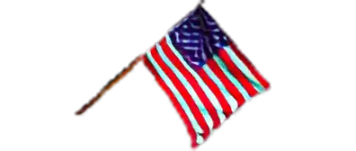 Usaflag Image of Usaflag