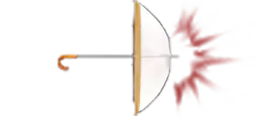 Umbrella Image of Umbrella