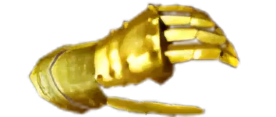 Gauntlet Veteran Image of Gauntlet Veteran