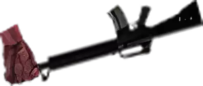 M16swing Image of M16swing