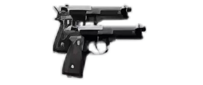 Beretta D Image of Beretta D