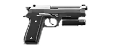Pt92 Image of Pt92