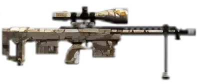 Dsr1 Camo Image of Dsr1 Camo