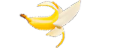 Banana Image of Banana